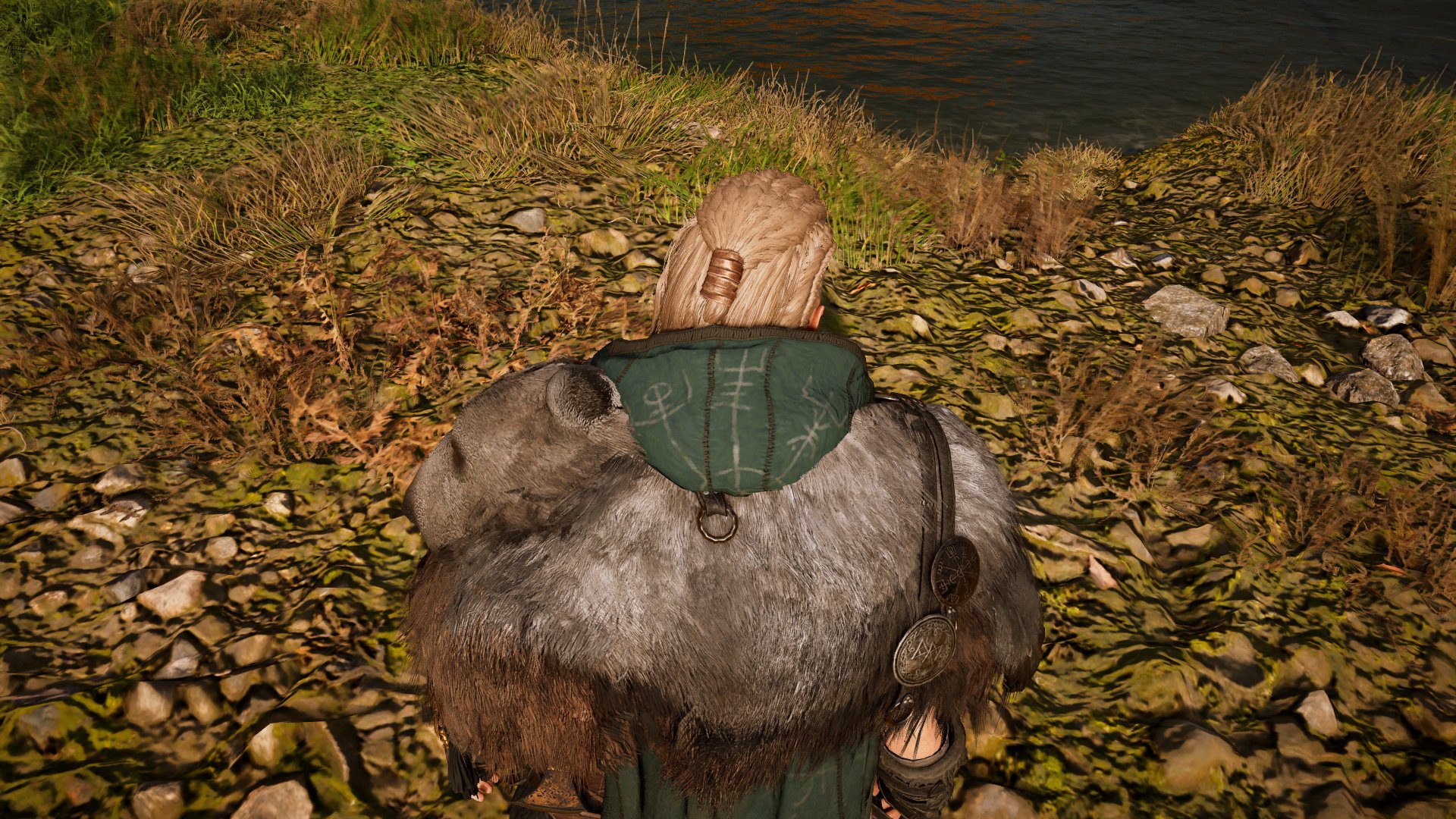 Screenshot of the hood