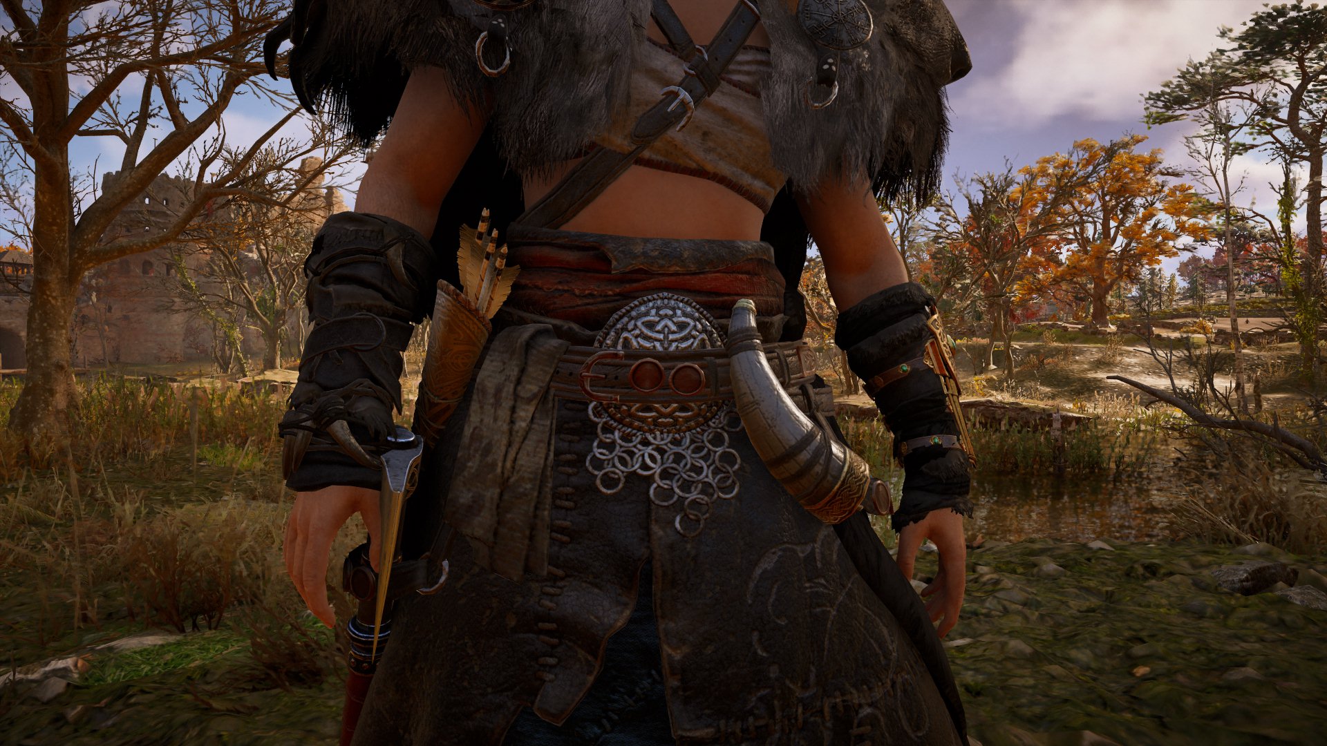 Screenshot of the buckle detail