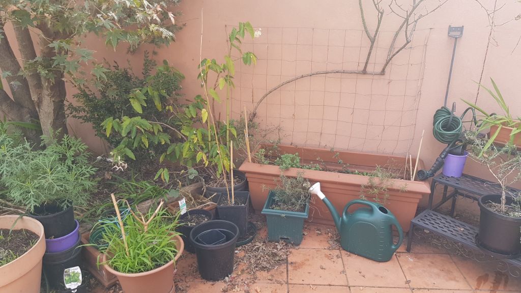 The rest of the plants