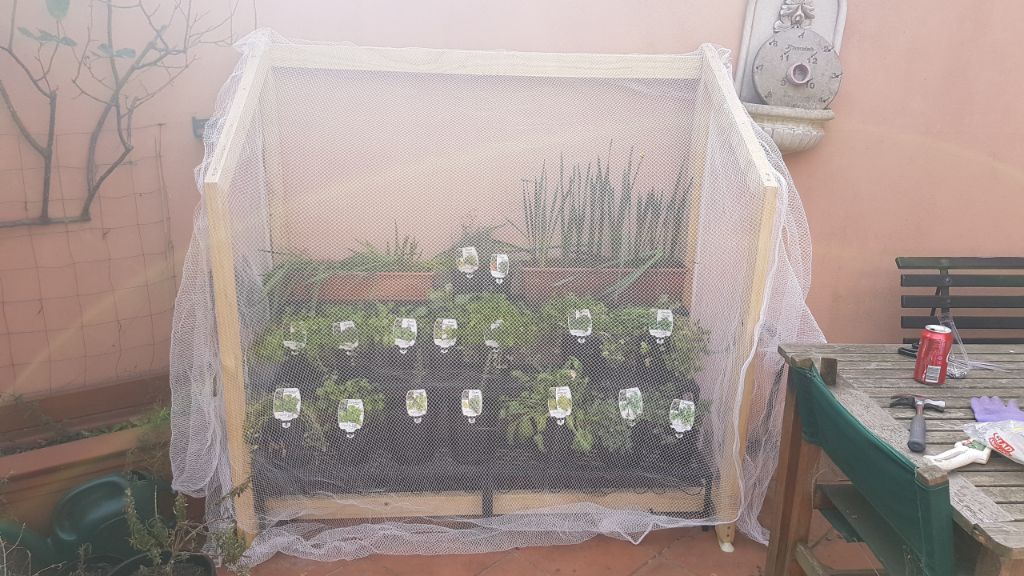 A net to go over my Veggies