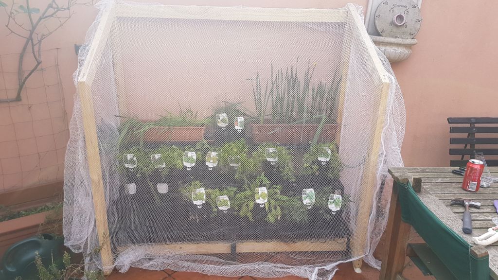 A net to go over my Veggies