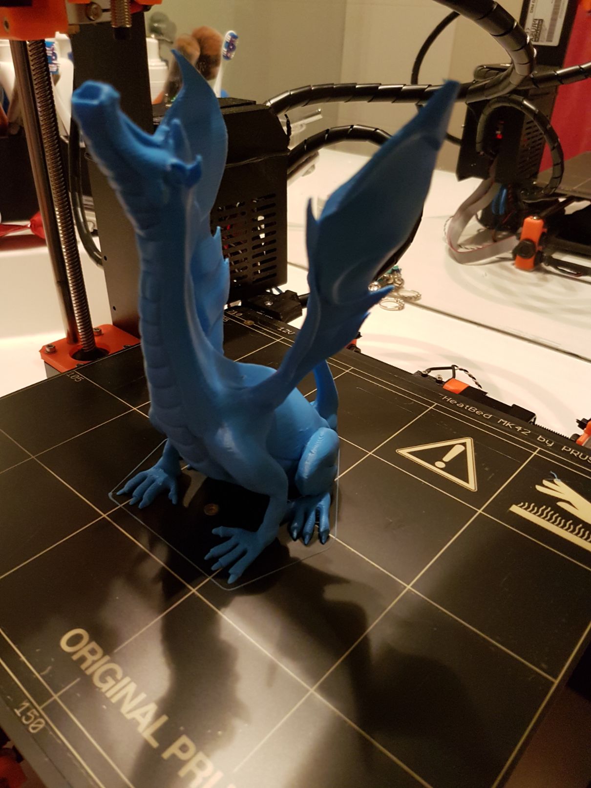 Adalinda dragon print finished