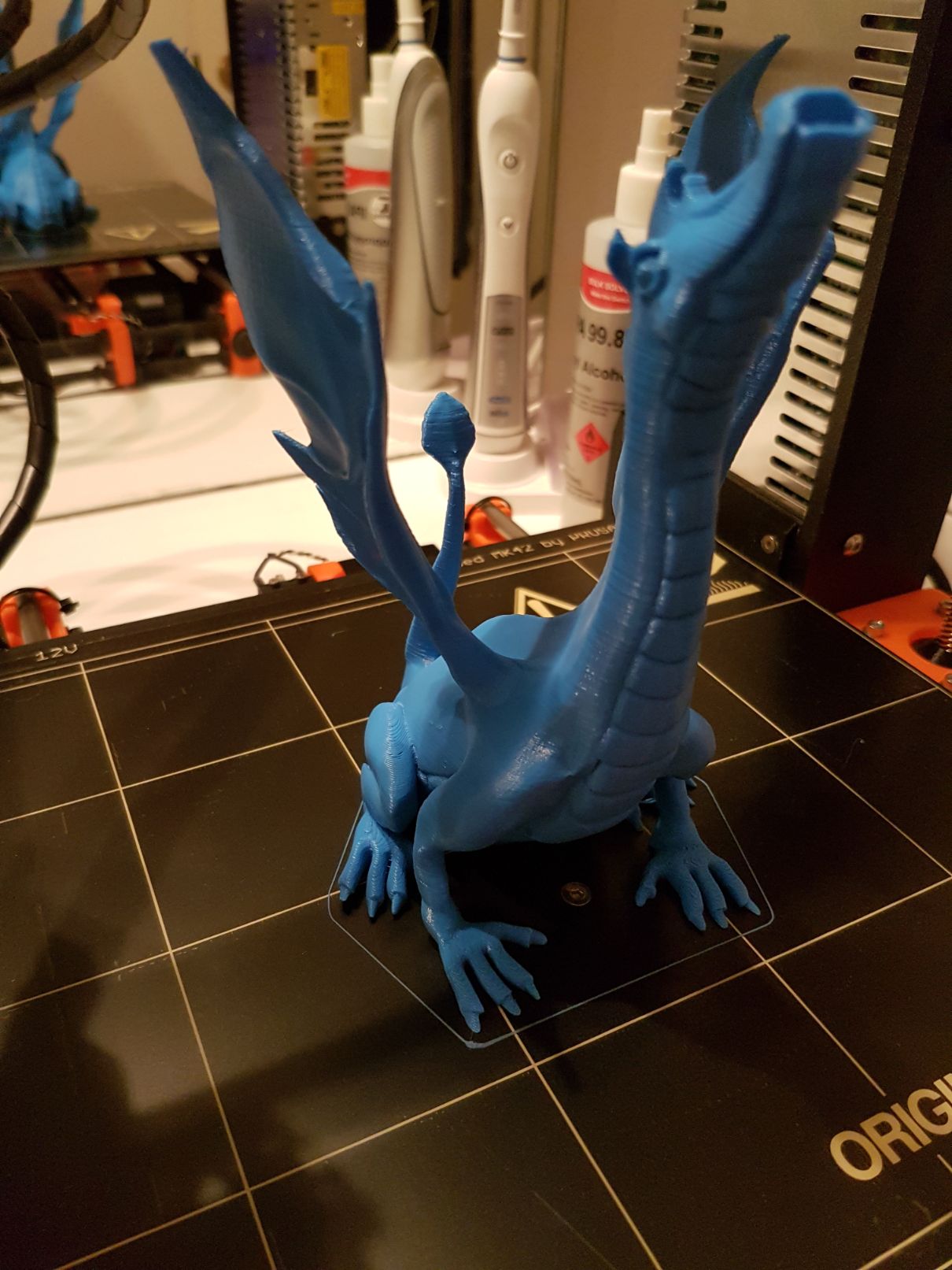 Adalinda dragon print finished