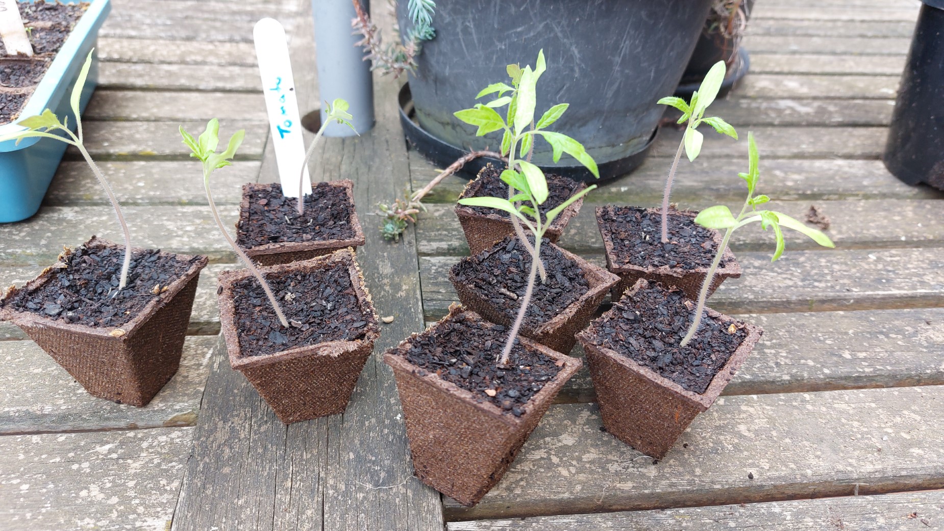 Separating out the individual pots
