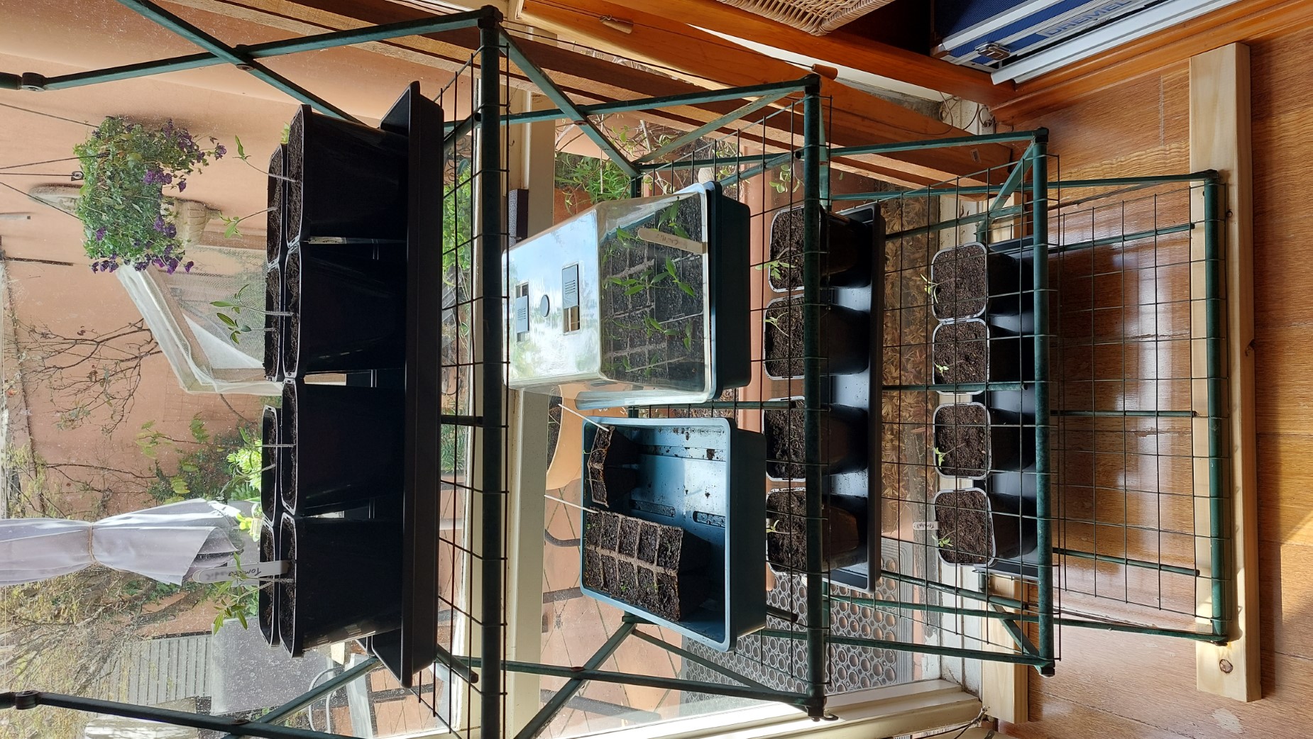 Inside shelving for the plants