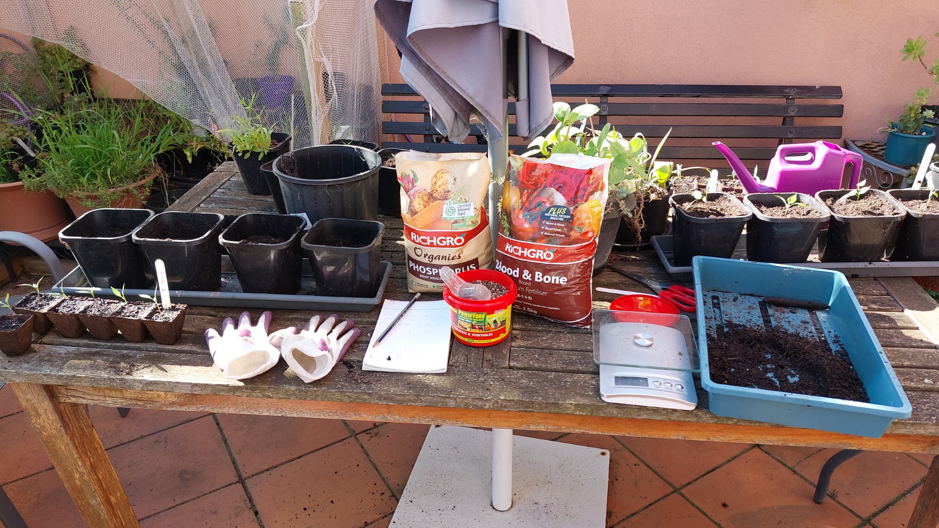 My outside assembly line