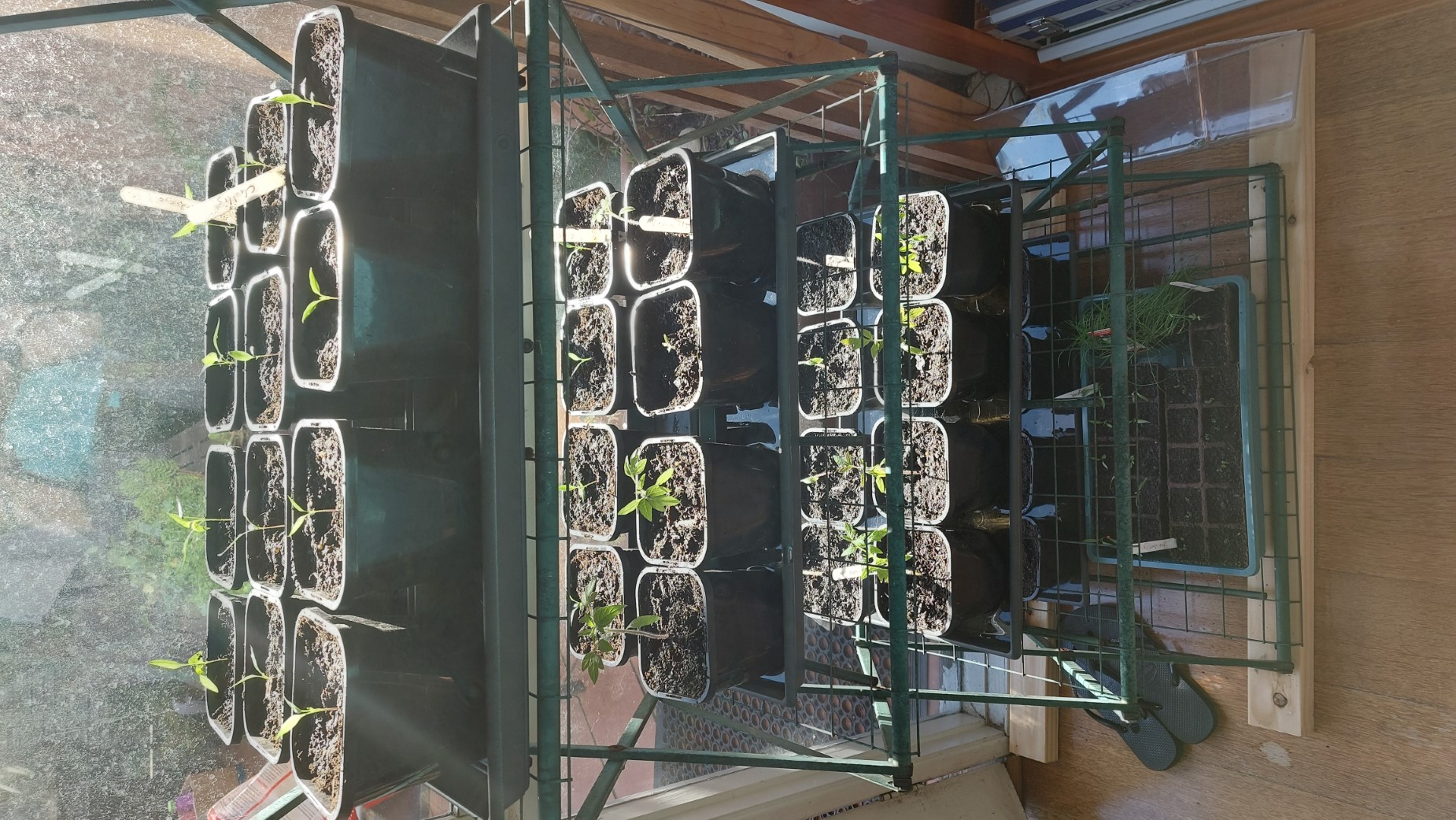 Full shelving unit now