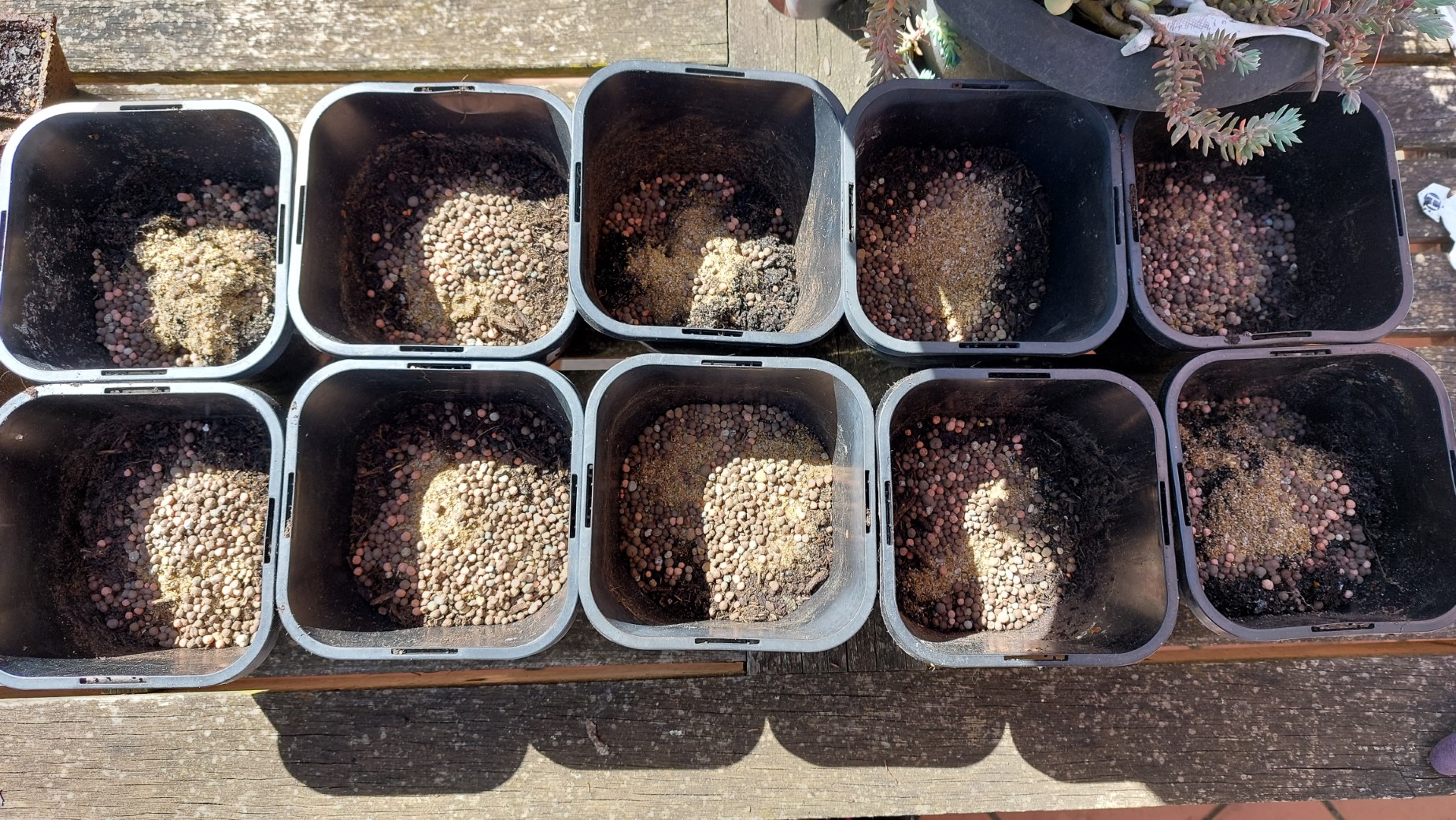 Seed selection