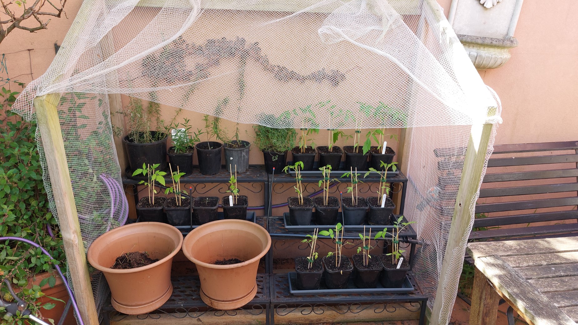 A better display of the garden net