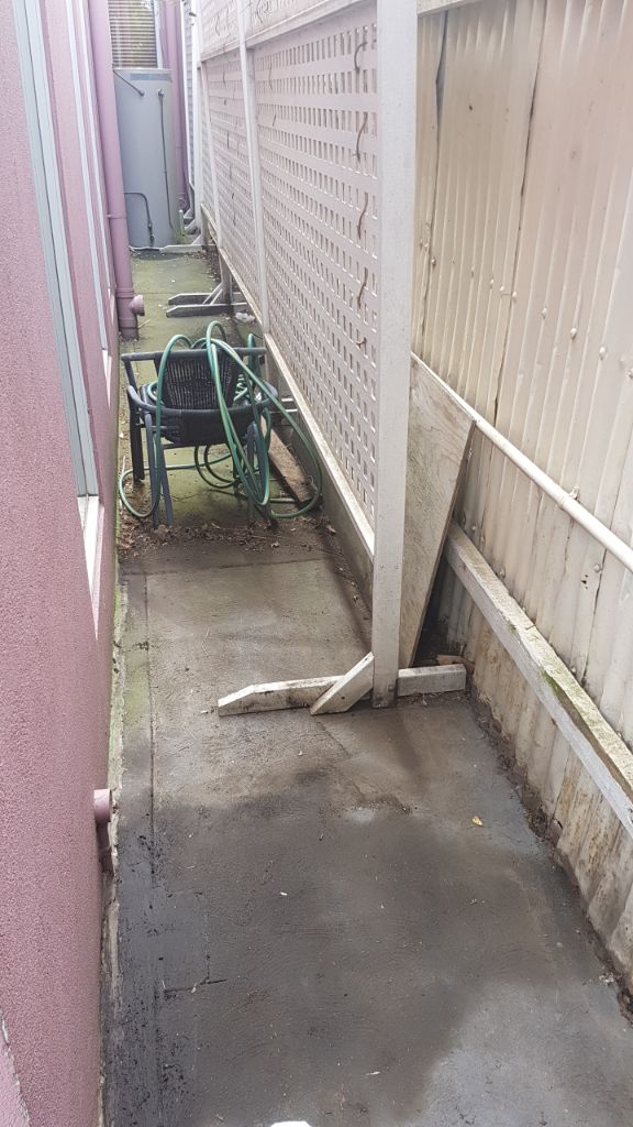 Site of the shed