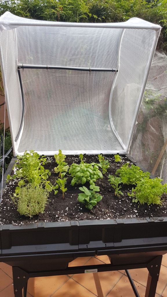 The Finished Pod!