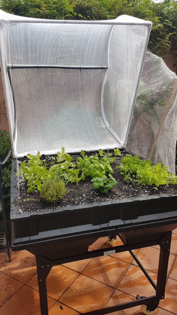 The Finished Pod!